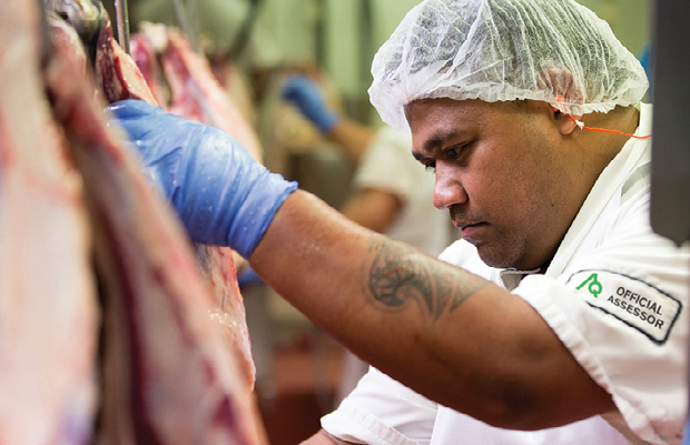 Webinar: Automated Inspection - Meat Services