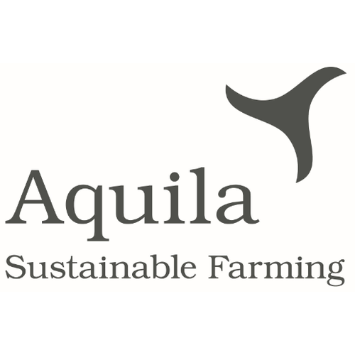Aquila Resized